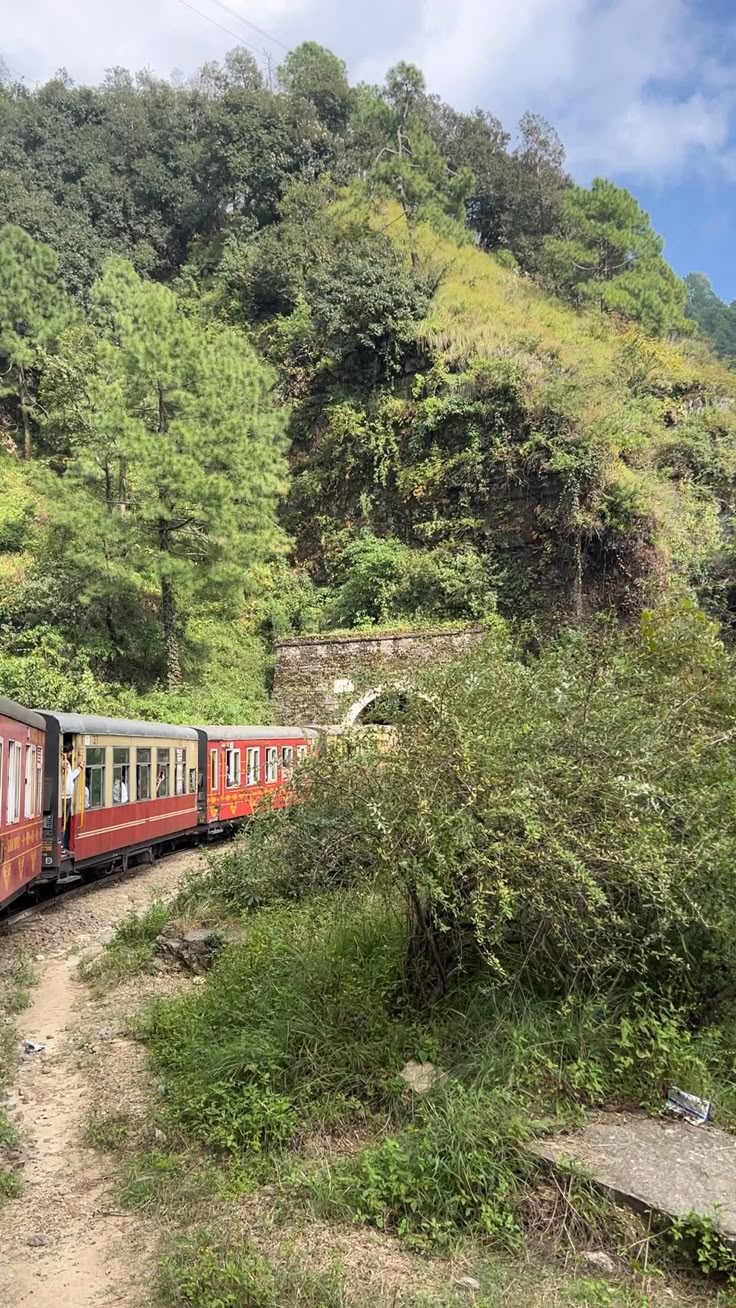 Shimla Hills 1