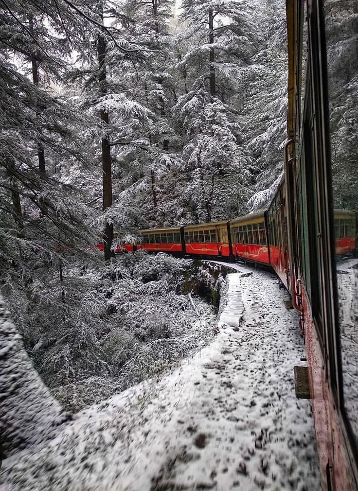 Shimla Hills 3